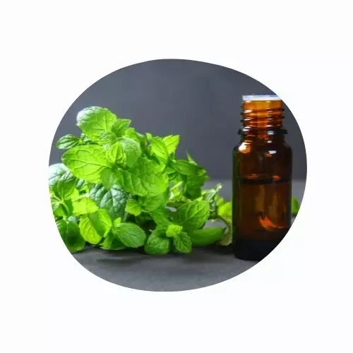 hondrofrost-ingredientes-mentol